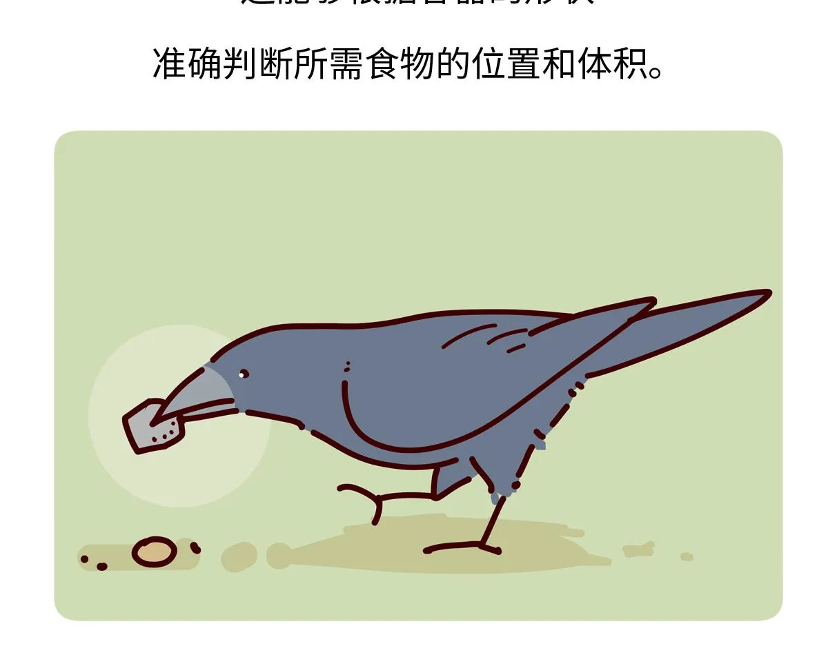 胖达熊猫棒球漫画,第245话1图