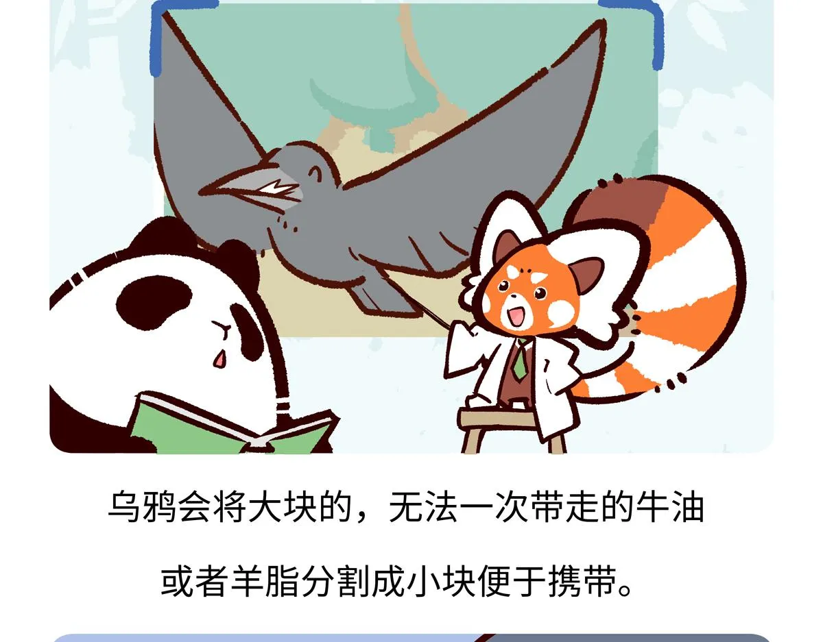 胖达熊猫棒球漫画,第245话2图