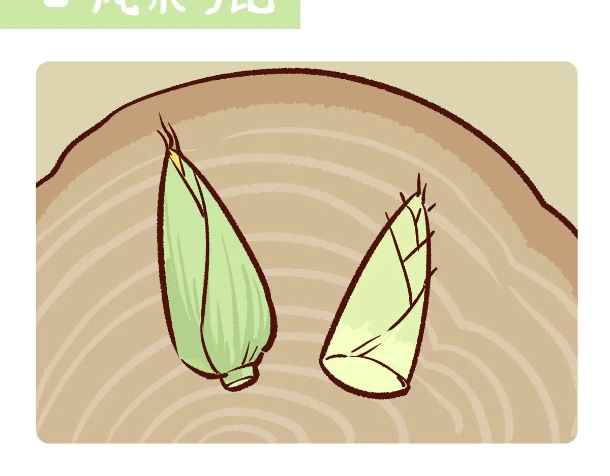 胖达熊猫棒球漫画,第245话2图