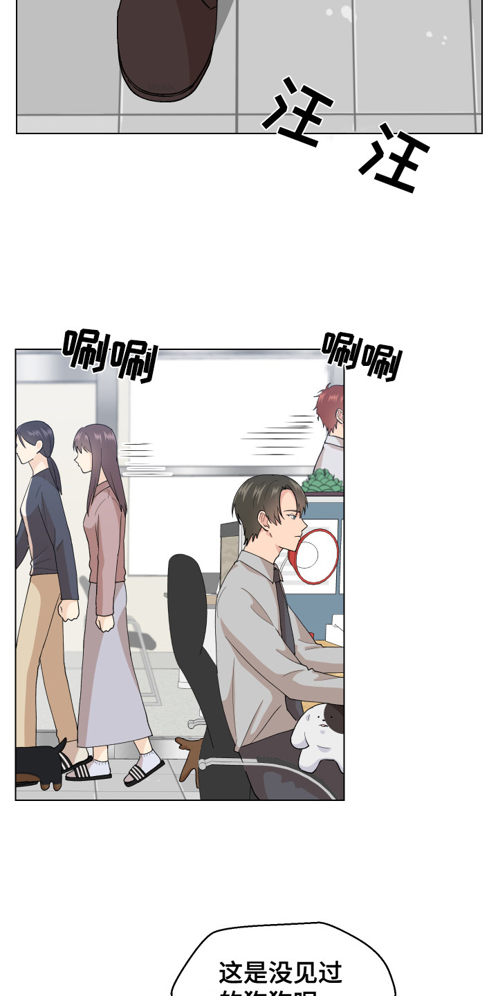 小时候的荒唐愿望图片漫画,第6话1图