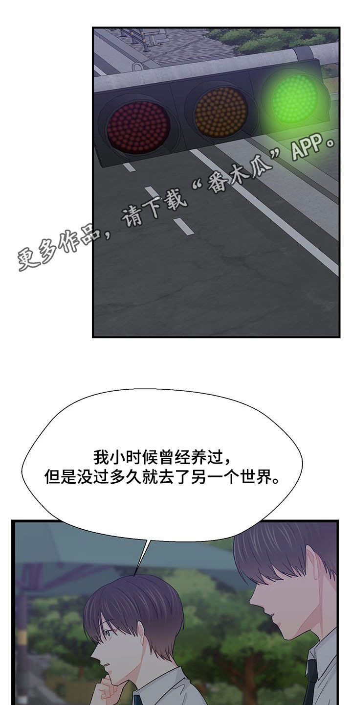 少年身患绝症愿望却超级荒唐漫画,第95话1图