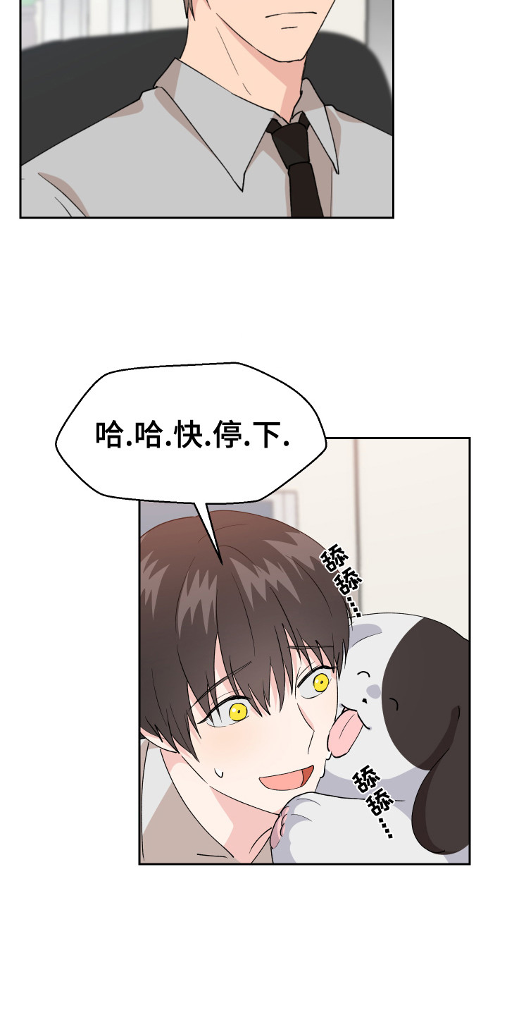 小时候的荒唐愿望图片漫画,第12话1图