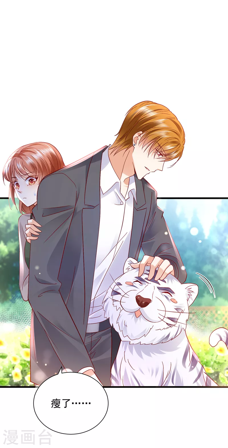 豪门天价前妻漫画,第711话 和我一起养大猫吧？2图