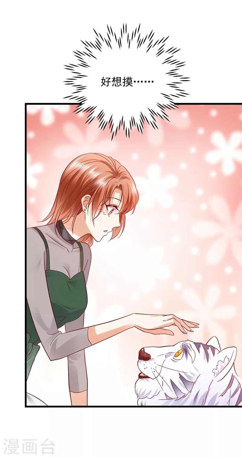 豪门天价前妻漫画,第711话 和我一起养大猫吧？2图