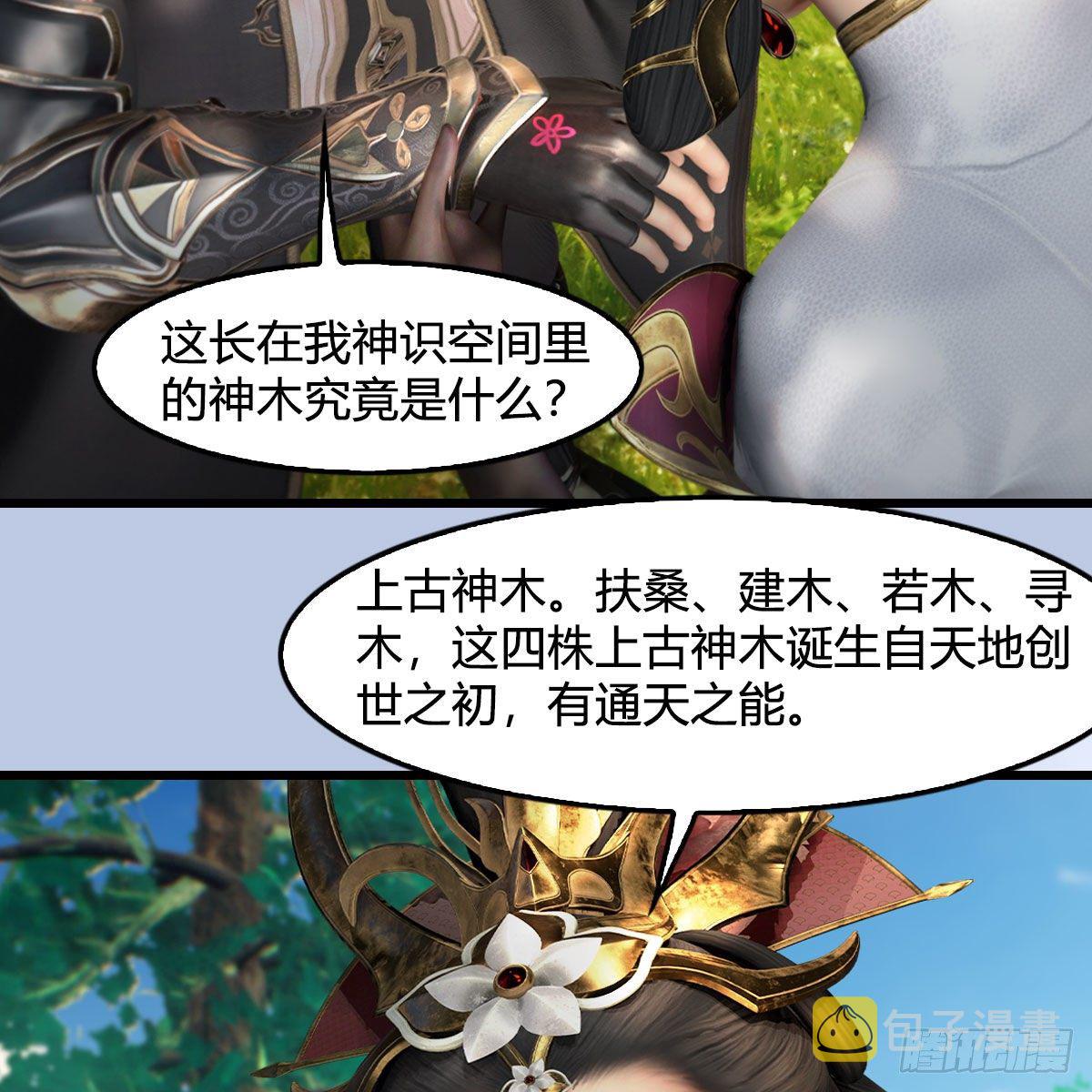 堕玄师16集完整版免费看漫画,第568话：神木印记1图