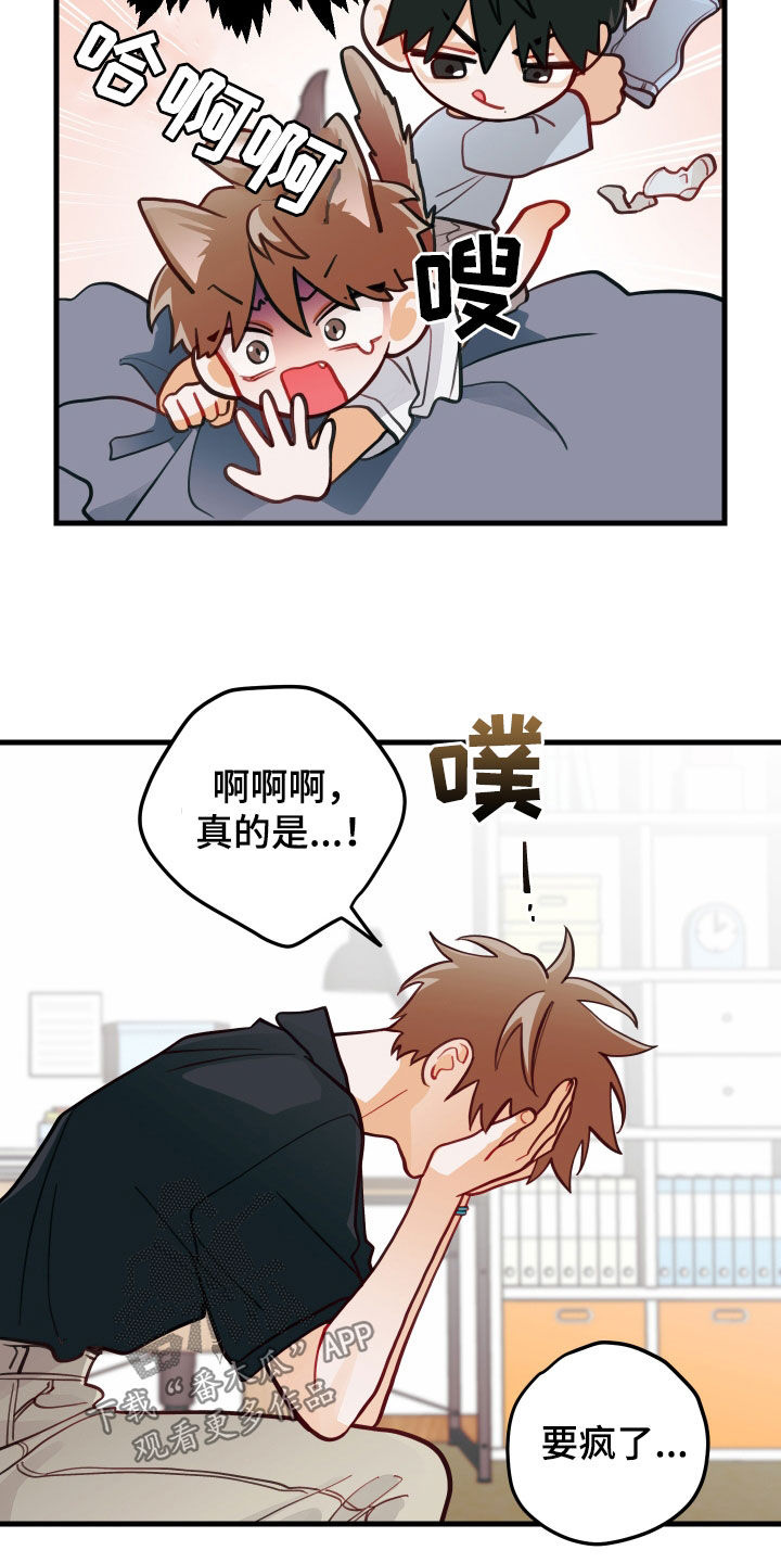 谁吻了我漫画免费观看全集漫画,第56话2图