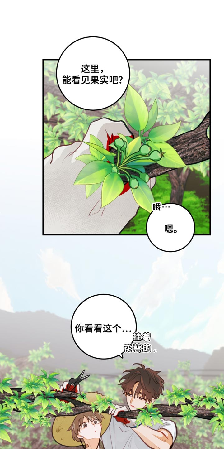 谁吻了我漫画正版漫画,第33话1图