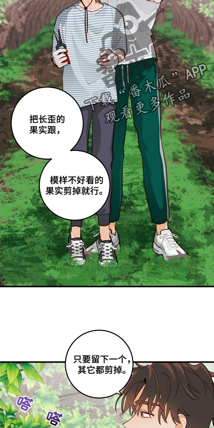 谁吻了我漫画正版漫画,第33话2图