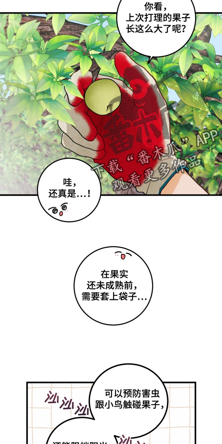 谁吻了我另一个名字漫画,第75话2图