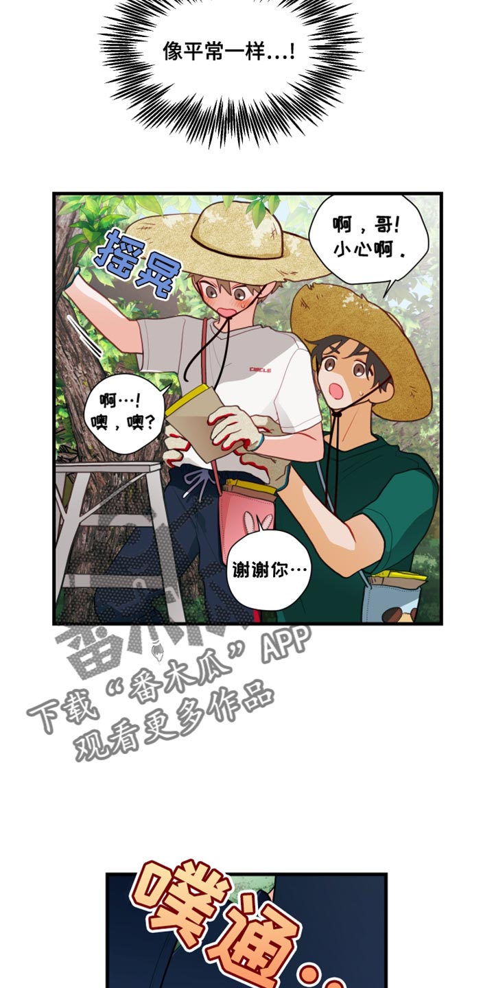 谁吻了我漫画免费观看全集漫画,第75话2图