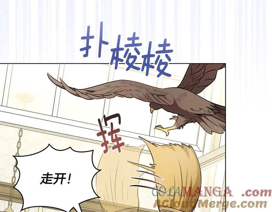 公爵大人请别太靠近英文漫画,特别外传 第1话 鹰的主人1图