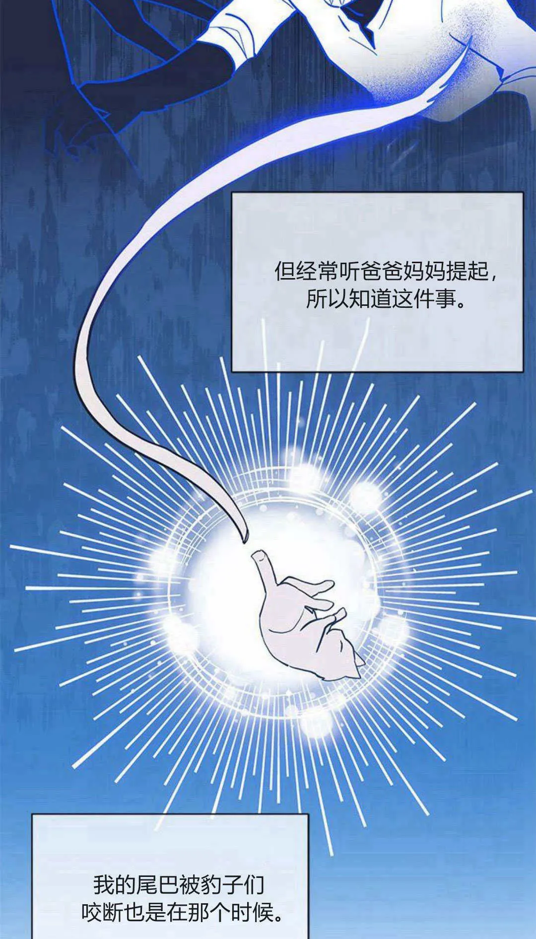 明明是猫却被狼族收养了在哪里看漫画,第17话1图