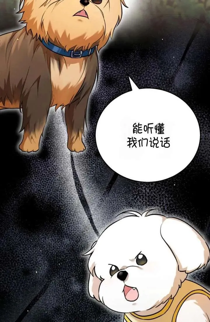 小说 兽医漫画,第01话1图