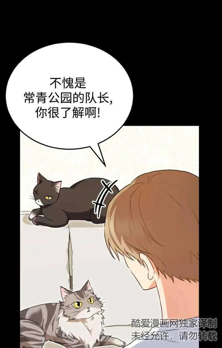 小说 兽医漫画,第35话2图