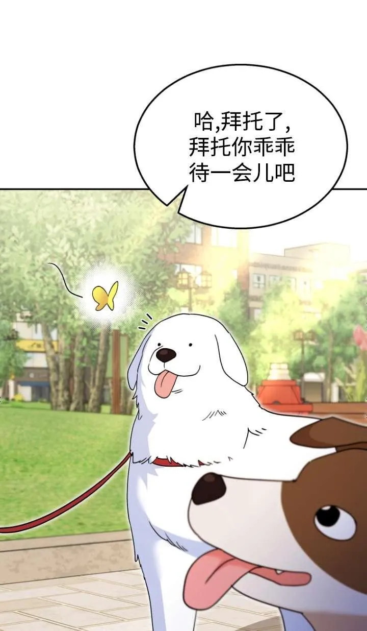 小说 兽医漫画,第41话2图