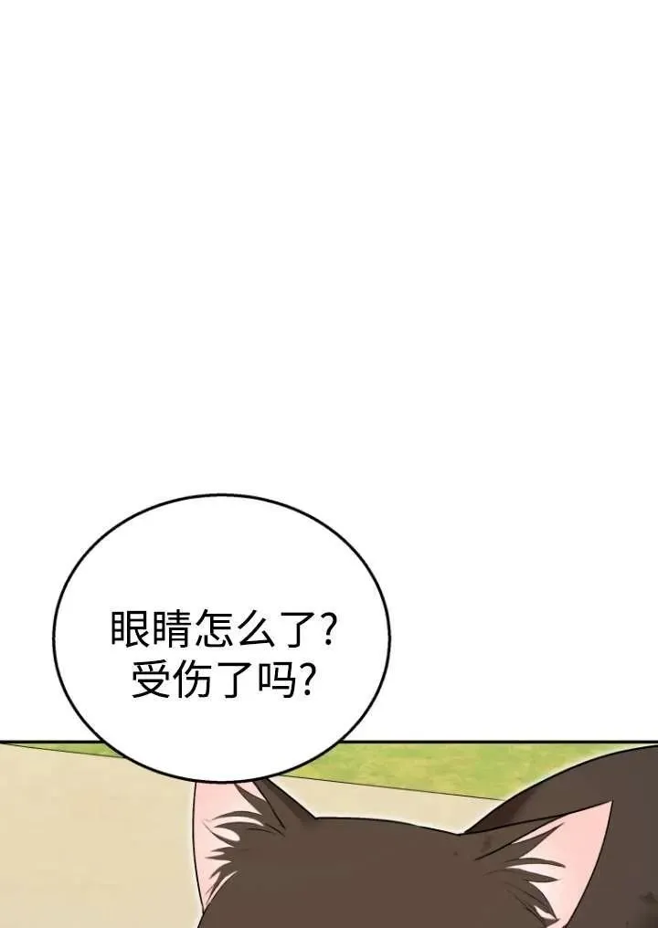 小说 兽医漫画,第27话1图