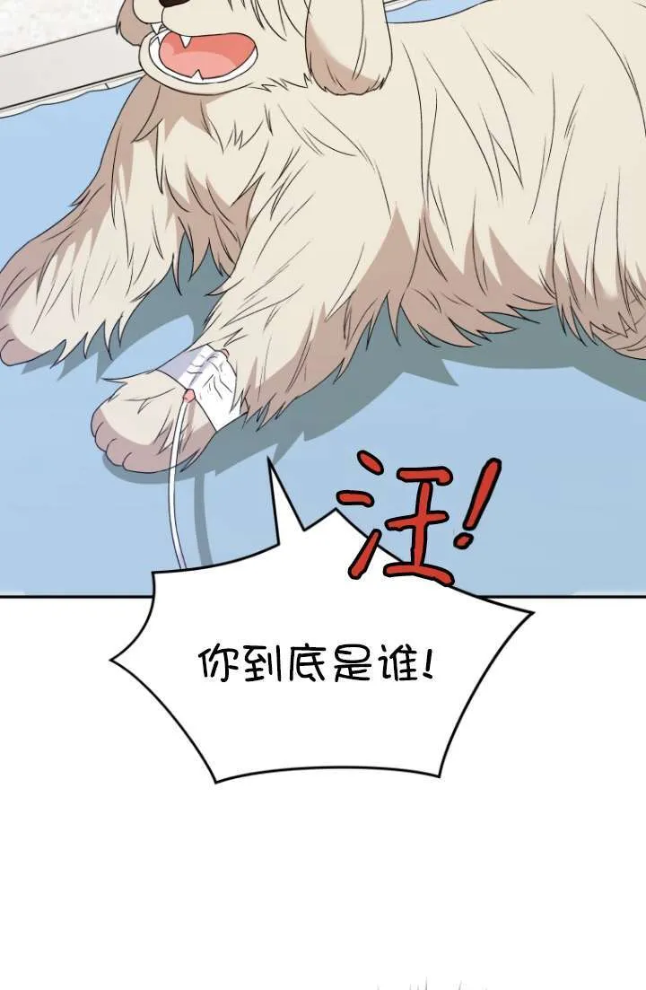 小说 兽医漫画,第49话1图