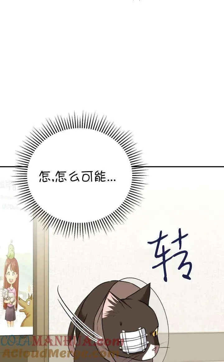 小说 兽医漫画,第28话1图
