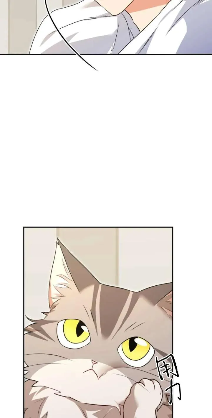 小说 兽医漫画,第30话2图