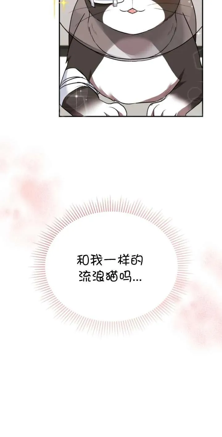 小说 兽医漫画,第30话2图