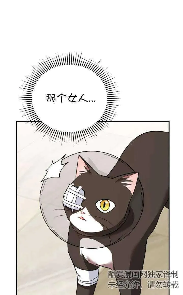 小说 兽医漫画,第28话2图