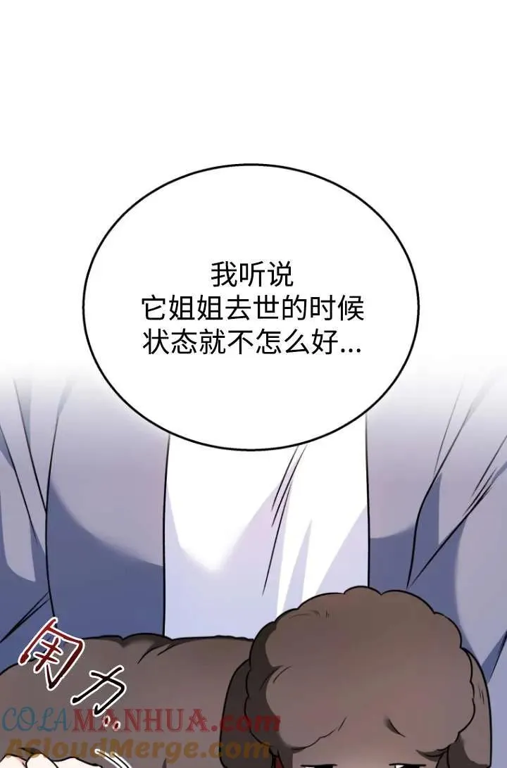小说 兽医漫画,第33话2图