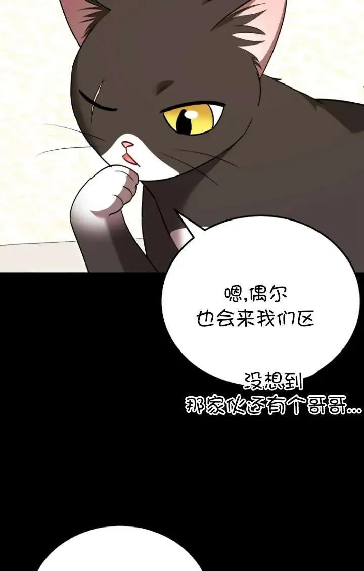 小说 兽医漫画,第35话2图