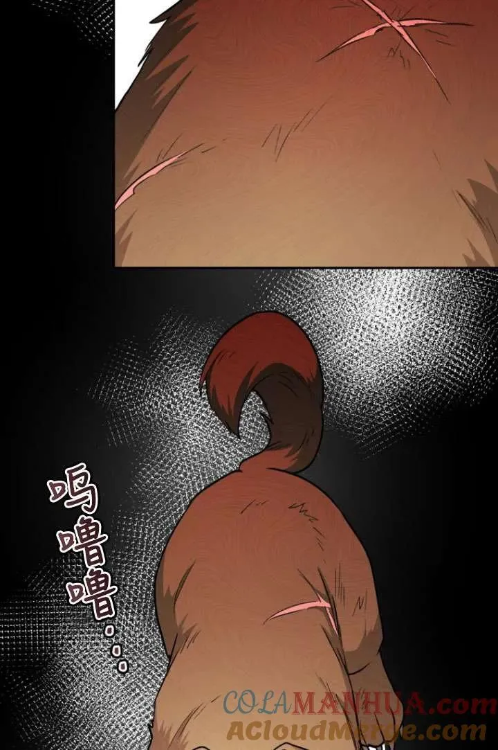 小说 兽医漫画,第17话1图