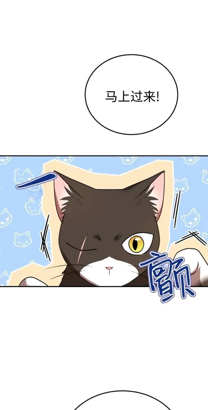 小说 兽医漫画,第30话2图