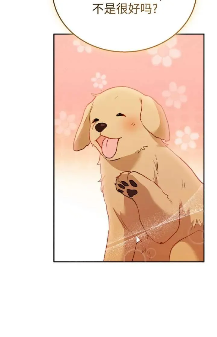 小说 兽医漫画,第31话1图