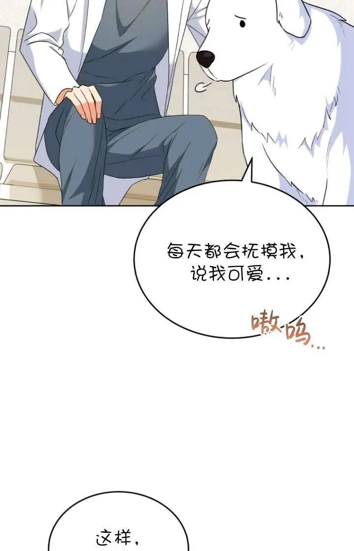 小说 兽医漫画,第24话2图