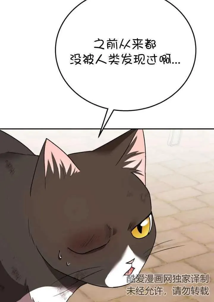 小说 兽医漫画,第27话2图