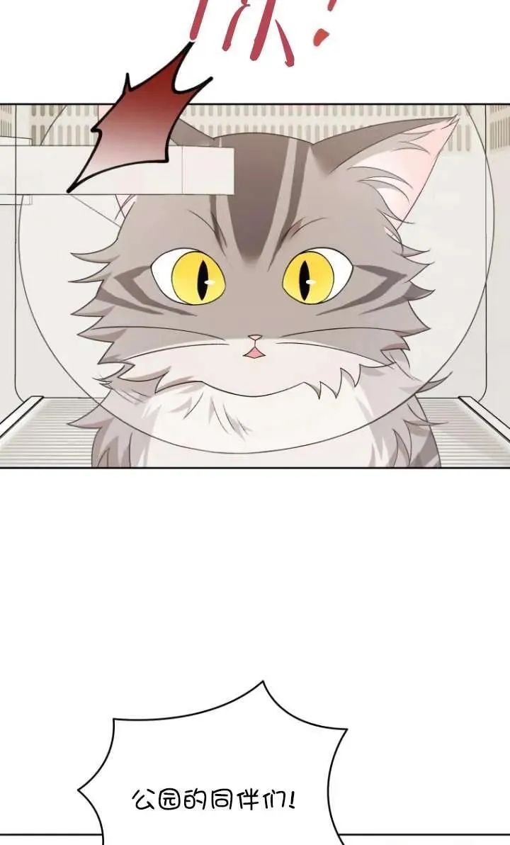 小说 兽医漫画,第15话1图