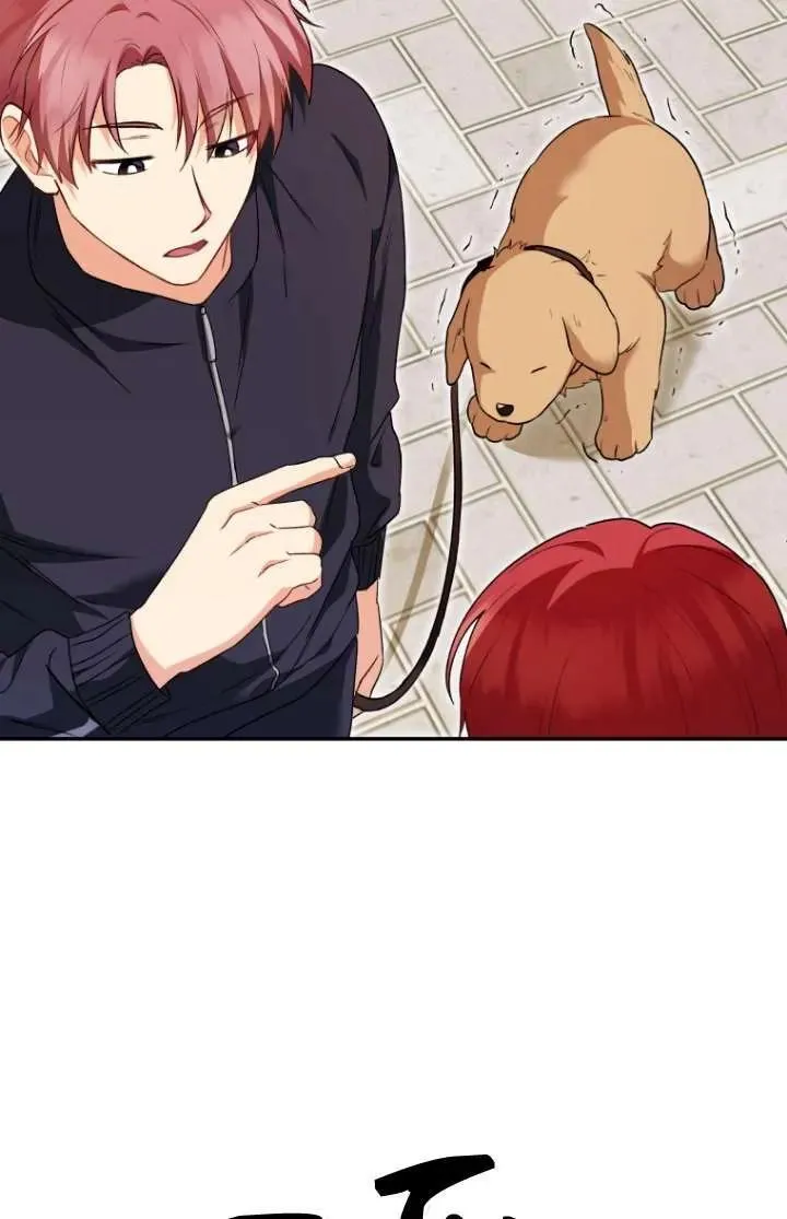 小说 兽医漫画,第31话2图