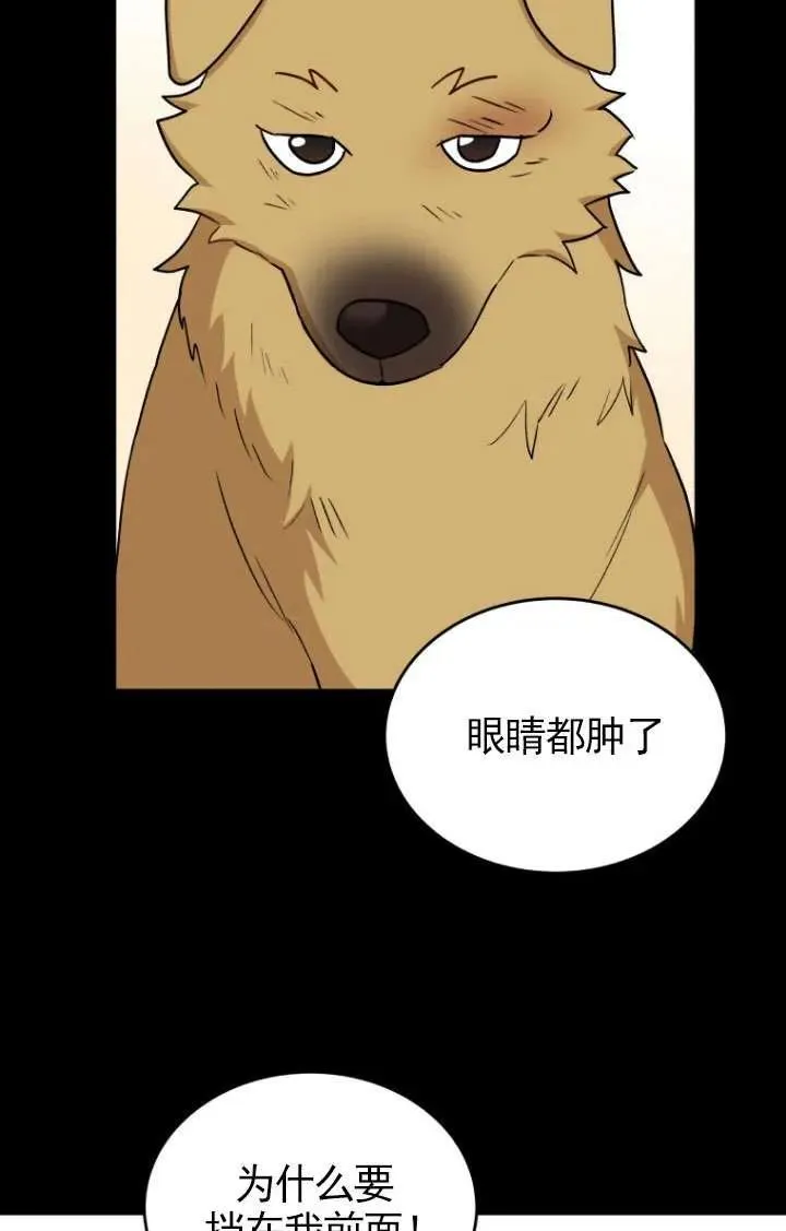 小说 兽医漫画,第18话1图