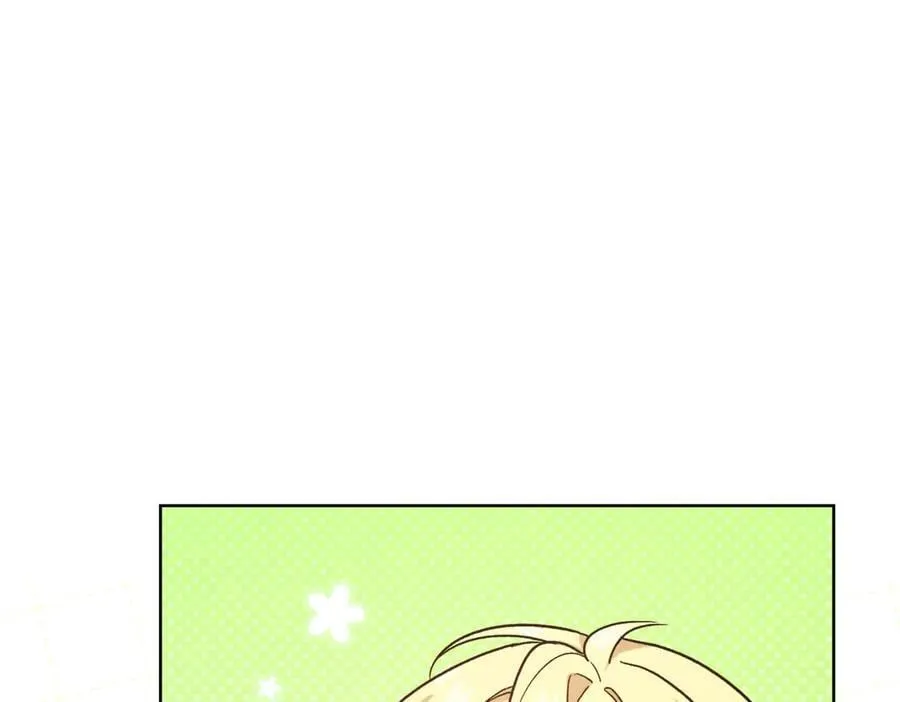 精灵团宠小千金漫画下拉式免费漫画,第217话 兄妹情深1图