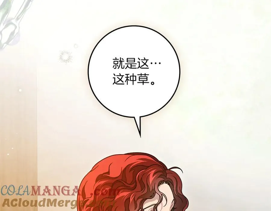 橡树之下免费漫画阅读看漫画漫画,第117话 止疫良方1图