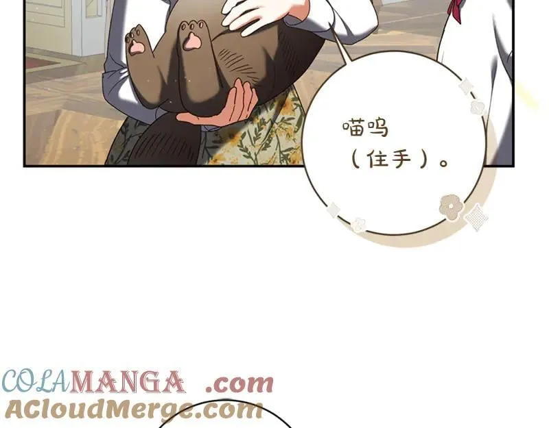 精灵团宠小千金漫画下拉式免费漫画,第221话 平胸风波1图