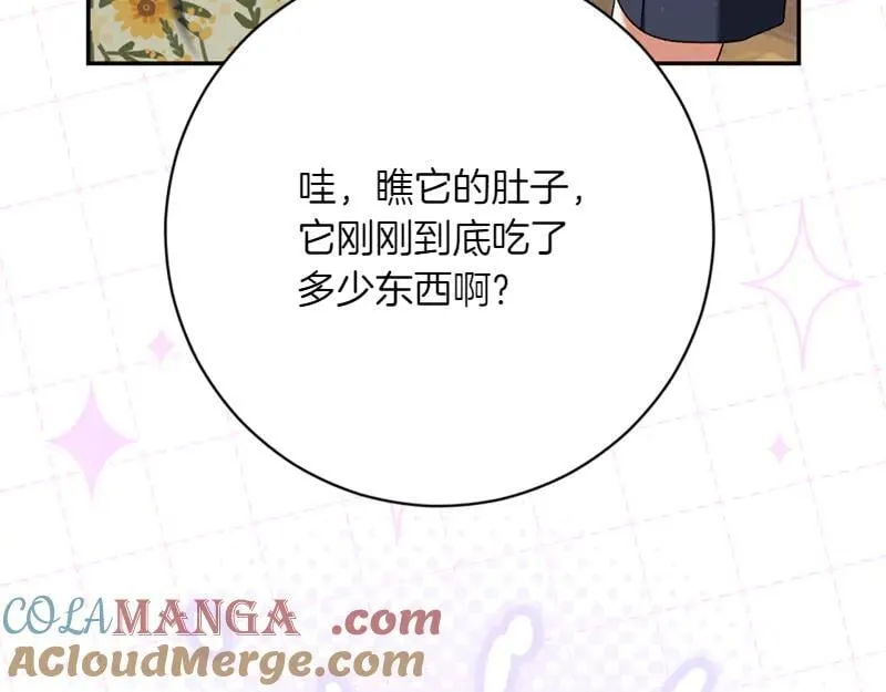 精灵团宠小千金漫画下拉式免费漫画,第221话 平胸风波1图