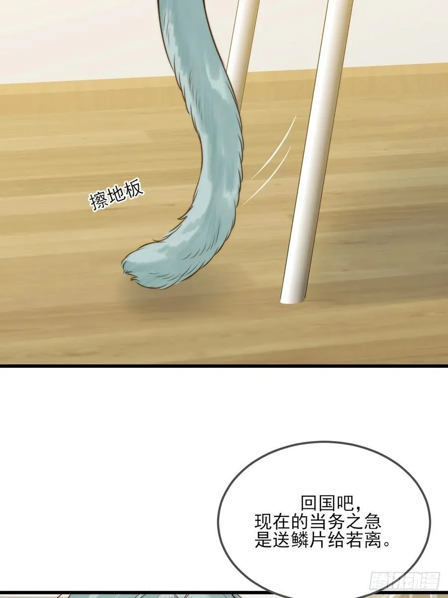 只有尾巴不可以盖子犬微博超话漫画,他说的，我来做2图