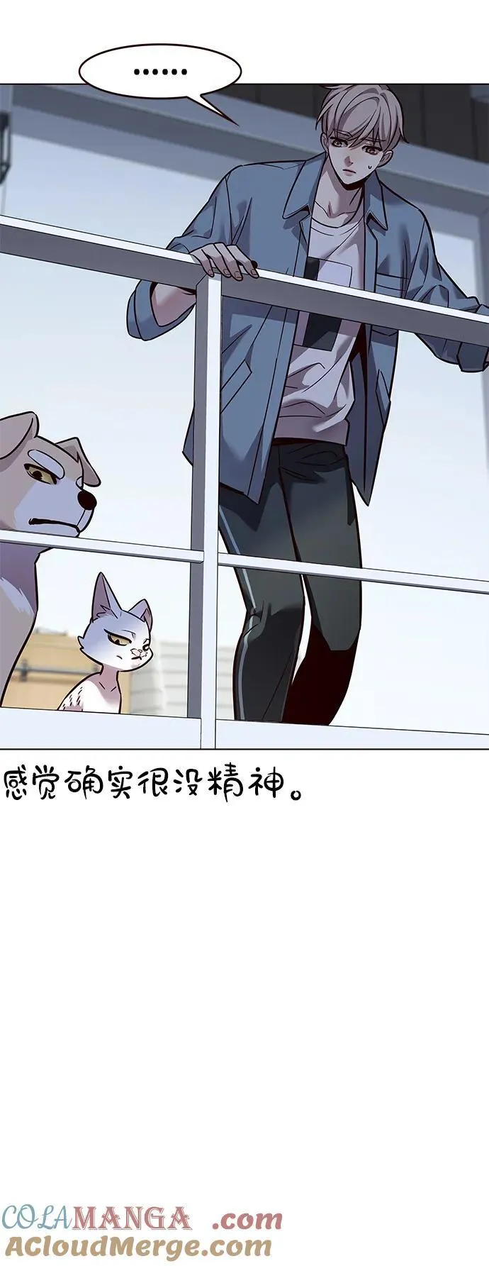 觉醒吧铲屎官漫画免费观看180话漫画,第323话1图
