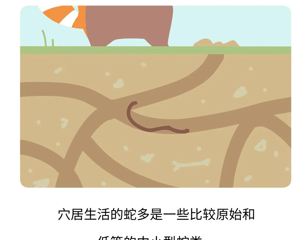 胖达熊猫棒球漫画,第249话2图