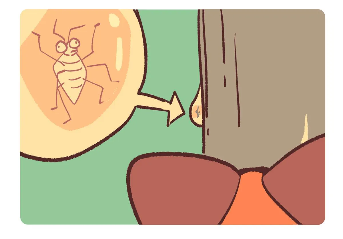 胖达熊猫棒球漫画,第248话1图