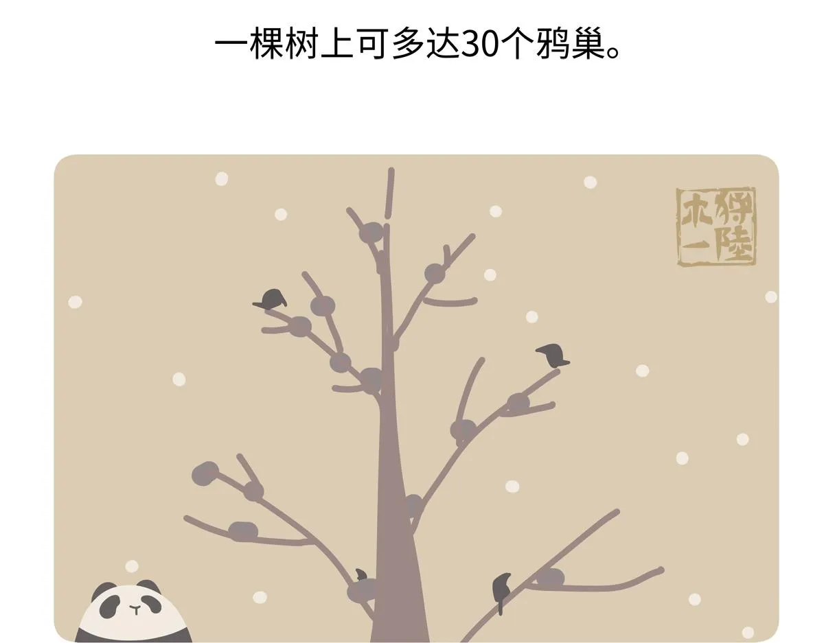 胖达熊猫棒球漫画,第247话1图