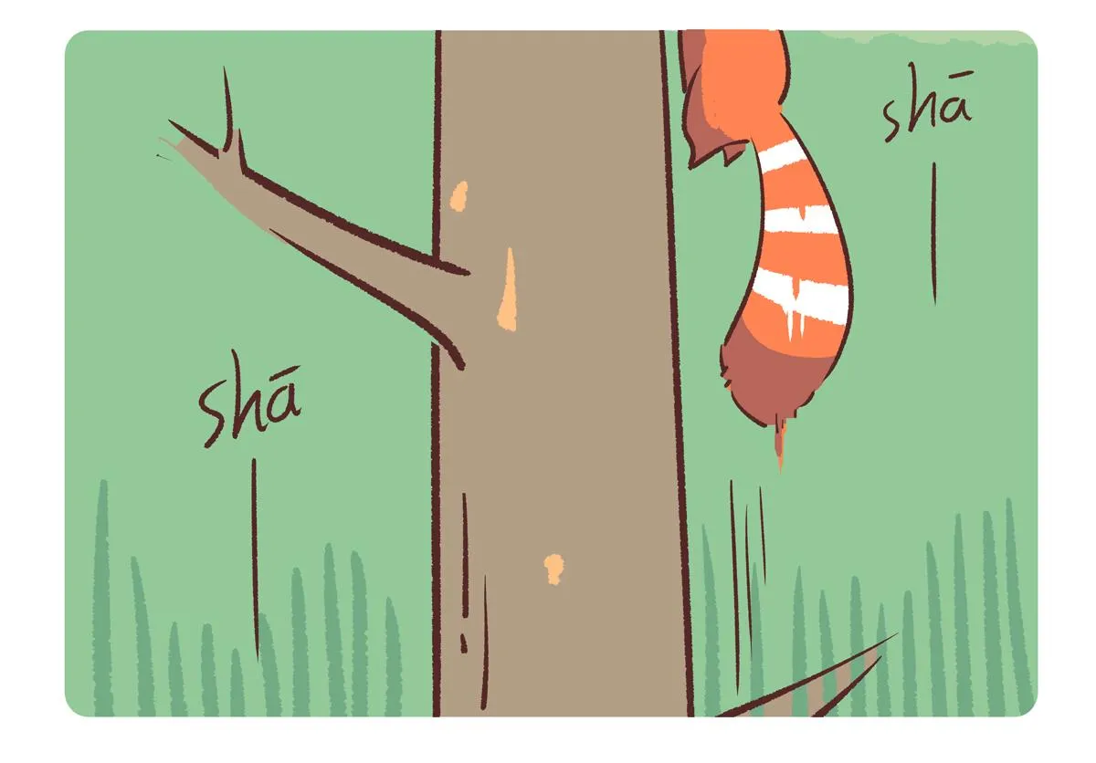 胖达熊猫棒球漫画,第247话1图