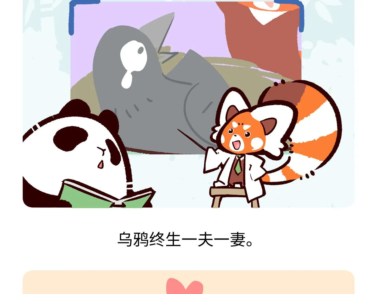胖达熊猫棒球漫画,第247话2图