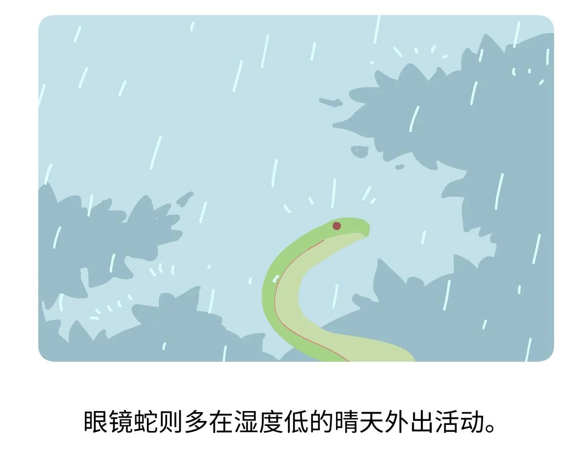 配电箱排地漫画,第252话1图