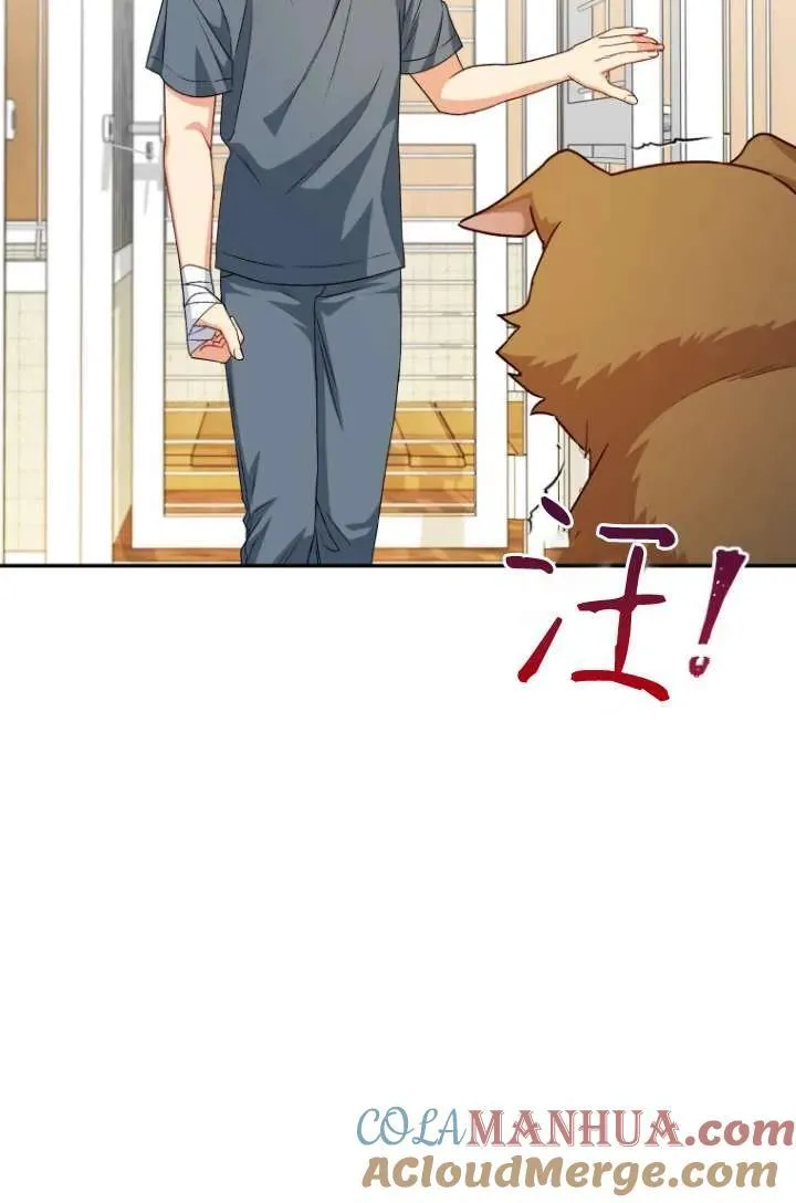 兽医先生！你好？漫画,第19话2图