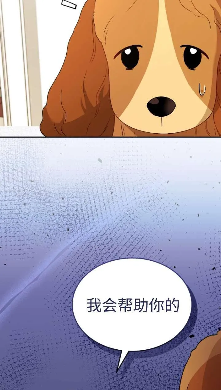 兽医先生！你好？漫画,第43话1图