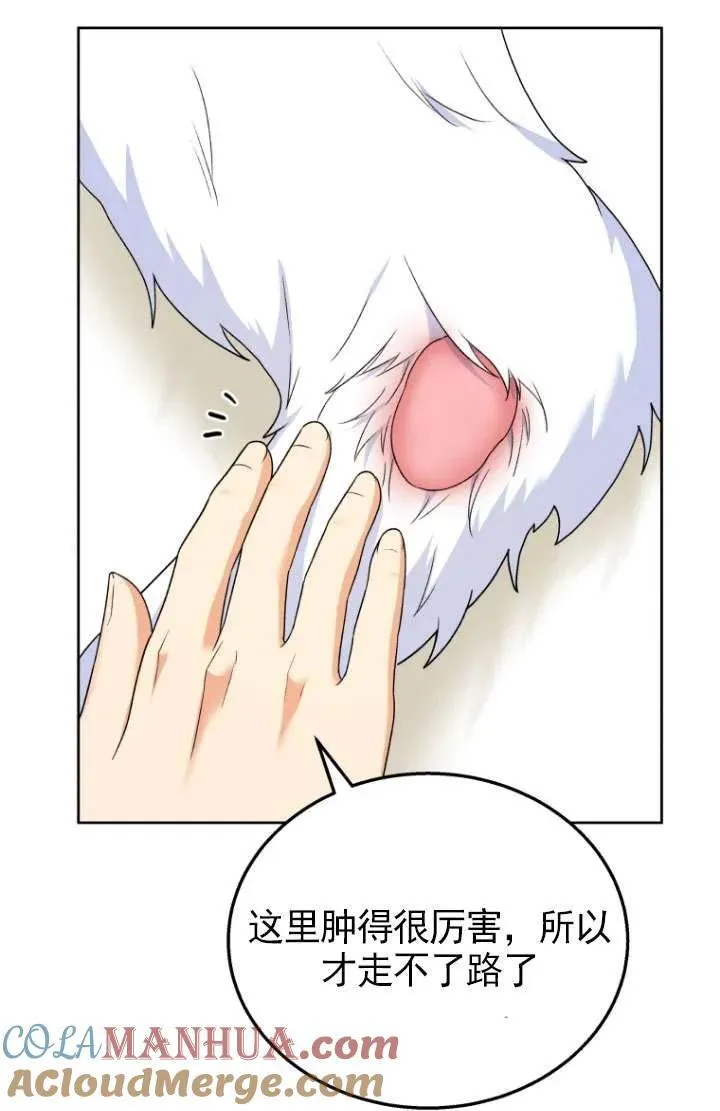 兽医先生！你好？漫画,第23话1图